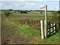 Footpath to Stonehall