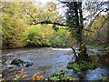 Downstream view, Avon Water