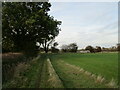 Bridleway to Bucknall