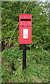Elizabeth II postbox on Fore Lane, Bicker Gauntlet