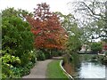 Westgate Gardens, Canterbury