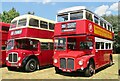 Alton Bus Rally 2018 - Routemaster