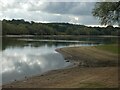 ST5410 : Sutton Bingham Reservoir looking south by David Smith