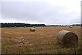 Round bales, Camore