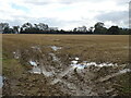 Stubble field, Carthorpe