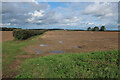 Hedge off Crabbe Road