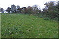 Footpath towards the Fritwell Road