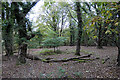 Private forest glade beside the B3390 road