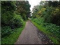 The Staffordshire Way at Denstone