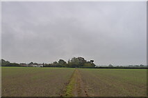 TL7920 : A grey, late afternoon on the Essex Way towards Cressing by Tim Heaton