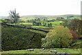 Stream valley east of Lovelady Shield