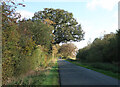 English Road past Thorney Lakes golf course
