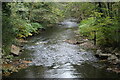 River Sirhowy under A467 road bridge