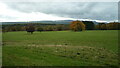 The Black Mountains (Viewed from Brilley)