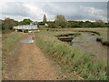 SZ5192 : Medina estuary near Whippingham by Malc McDonald