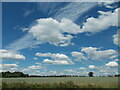 TQ4992 : On the London Loop - vast skyscape above Havering Park by Peter S