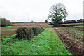 SP8144 : Bridleway near Pineham Farm by Stephen McKay