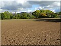 SO7442 : Ploughed field at Colwall by Philip Halling