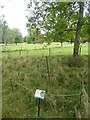 Biology experiment in progress, Kingston Lacy