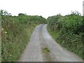 Lane between Sheepwash and Ash Barton