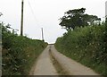 Lane between Sheepwash and Ash Barton