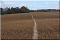 Essex Way heading away from Sky Hall Hill