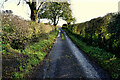 H5868 : Flushtown Road, Cavanreagh by Kenneth  Allen