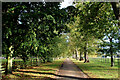 TM0333 : Driveway leading away from Langham Hall by Chris Heaton