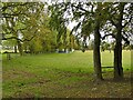 Horse jumps in a field off Springs Road