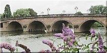 SO8454 : Worcester Bridge by Colin Smith