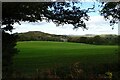 View to Woodfields Farm