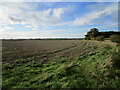 Stubble field and Redland