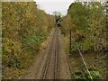 SE1740 : Railway east of Lamb Springs by Stephen Craven