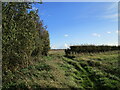 Corner of a field near Scrivelsby Grange