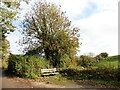 A seat in the autumn sunshine, Chulmleigh