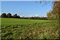 SU1625 : Large grazing field near New Hall Hospital by David Martin