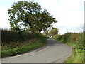 Minor road towards A167