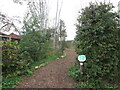 Footpath, The Red House Ramble