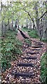 The path up the Nethan Gorge