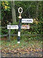 Direction Sign ? Signpost