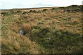SX6770 : Moorland, Holne Moor by Derek Harper