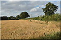 TM1450 : Harvested field, Church Lane, Claydon by Simon Mortimer