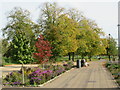 TQ3277 : Autumn colours in Burgess Park by Malc McDonald