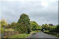 Bridge over small stream in Longburton