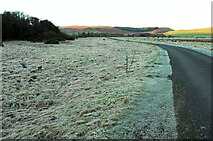 NU0216 : Frost by the road to Ingram by Derek Harper