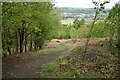 Footpath to West Chevin Rd