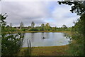 Fishing lake, Lincoln lane, Great Horkesley