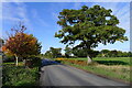 TL9831 : Boxted Road passing Orchard House by Tim Heaton