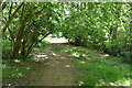 Footpath to Farnham Lane