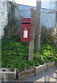 TF4916 : Elizabeth II postbox on Walnut Road, Walpole St Peter by JThomas